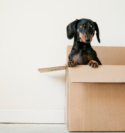 moving house