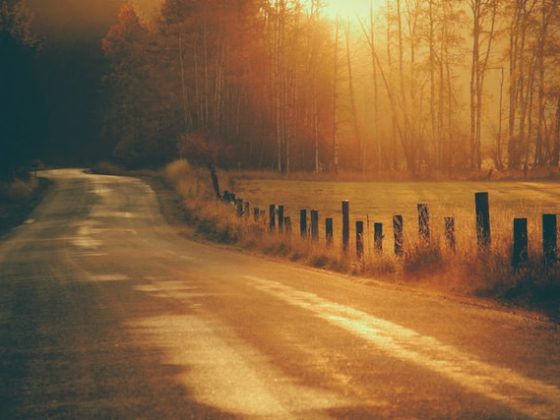 country travel