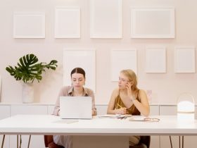 Online Entrepreneurs