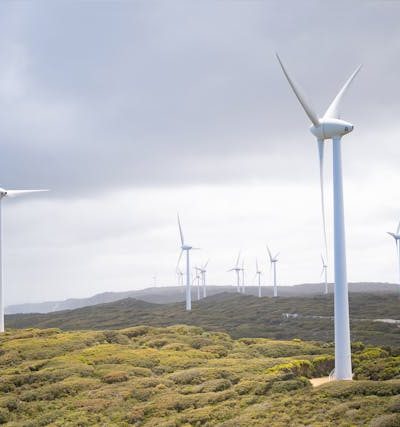decarbonize